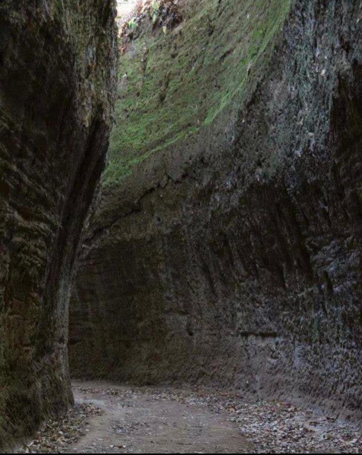 I Ricordi Lägenhet Sovana Exteriör bild